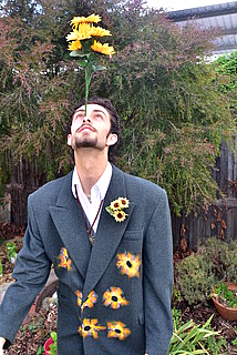 Vincent Why Not
